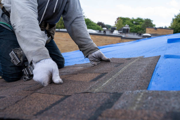 Quick and Trustworthy Emergency Roof Repair Services in Moulton, AL